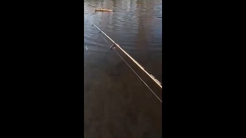 Walking in freezing lake for one fish!