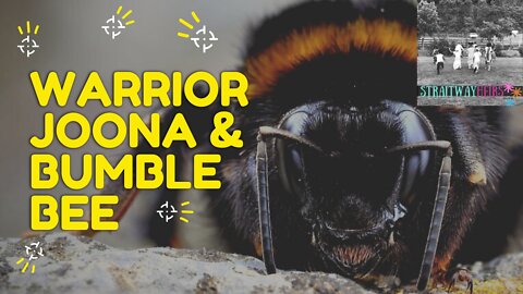 Warrior Joona & BumbleBee