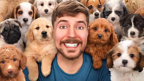 I Rescued 100 Abandoned Dogs!