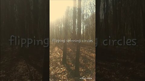 Somersaults in Trees | Kids Flipping in Circles | Milkyy-Media