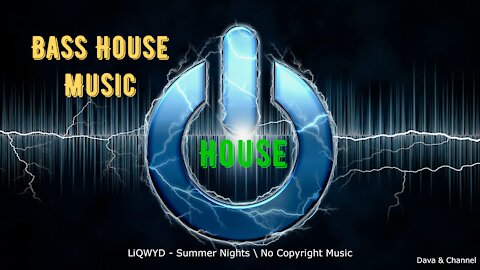 LiQWYD - Summer Nights \ bass house music \ no copyright music