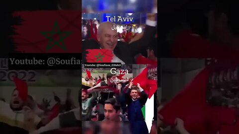 الفيديو الذي صدم العالم 😄 فرحة الإسرائيليين والفلسطينيين بالمنتخب المغربي 🏆🇲🇦🎉❤️‍🔥