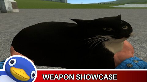 Maxwell the carryable cat (GMOD Weapon Showcase)