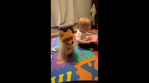 Baby Reads a Book to His Dog