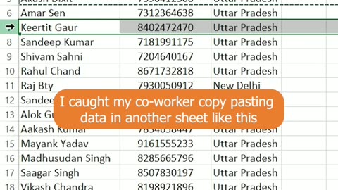 Excel Clipboard Function