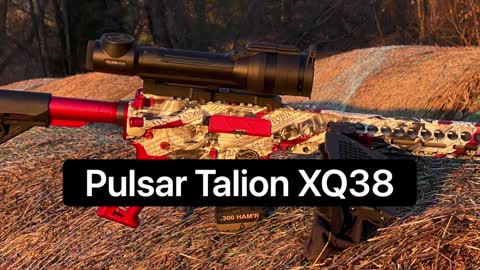 Pulsar Talion xq38 review