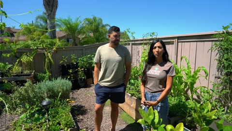 She Grows 50% Of Her Groceries At Home 🏡 | Suburban Garden Tour