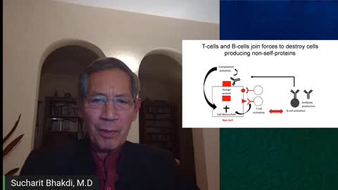 Sucharit Bhakdi MD: Immunology and the spike protein