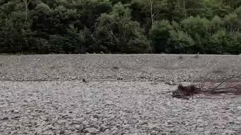 River in Kamikochi, Nagano