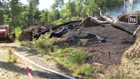 Bei Burg Falkenstein: 120 Feuerwehrleute kämpfen gegen Taunus-Waldbrand