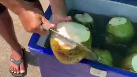 Amazing Coconut Cutting Skills _ Thai Street Food _15วัน15Shorts-bFe_89_hVUQ