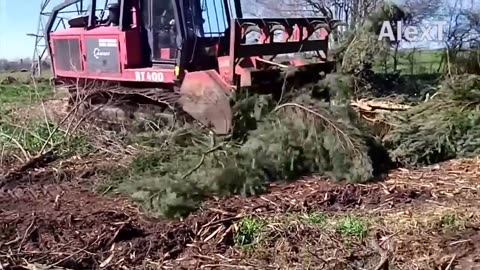 Amazing Fastest Big Tree Cutting Equipment Working