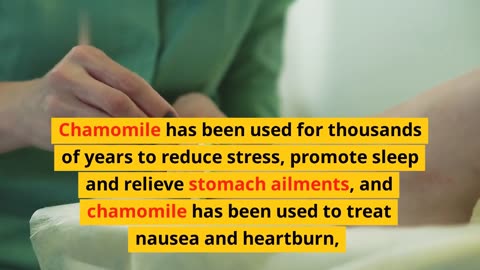 Benefits of Chamomile to treat infections