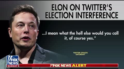 Elon that Sounds like the Democrats Acted Against the Constitution