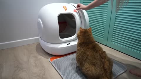 New Self-Cleaning Cat Litter Box for Hosico - PETKIT PURA MAX