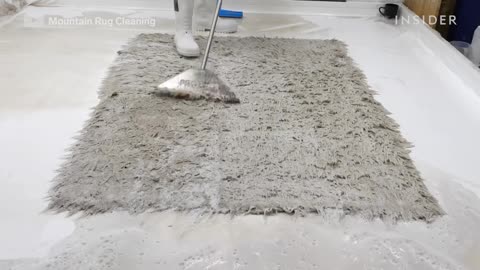 How A Worm-Infested Rug Is Deep Cleaned Deep Cleaned Insider