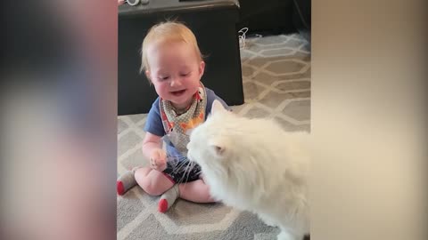 Cutest Babies Play With Cats 1