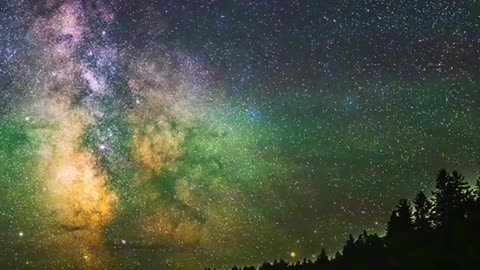 I left my camera out in a lake in the wilderness of Maine.