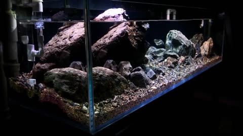 A simple rock aquascape for a rocky landscape