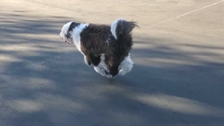 George running around at hockey