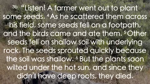 The Good Soil