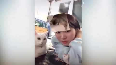 Cats funny video with human