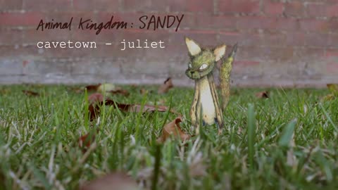 Juliet by Cavetown Animal Kingdom