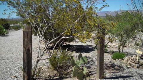 Boot Hill #Cemetery In AZ in #Tombstone