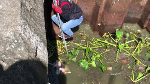 Film Crew Save Doggy From Murky Water