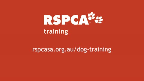 DOG TRAINING SERIES