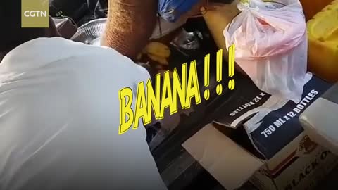 Cheeky elephant robs the bus driver for banana