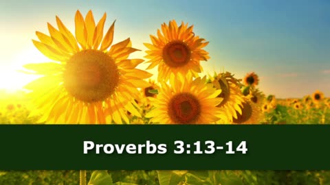 1 Minute -- Proverbs 3 Devotional -- August 3, 2023