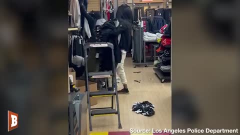 Shoplifting Gangs Paralyze Los Angeles Retailers