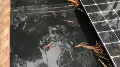 Solar roof leak oct 2/3 2022