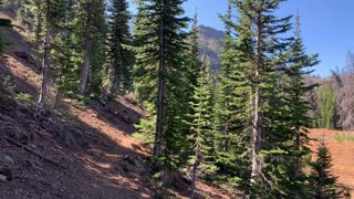 Eastern Oregon – Strawberry Lake + Wilderness – Gorgeous Forest Landscape