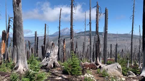 Central Oregon - Gorgeous Views of Mount Washington on the Horizon