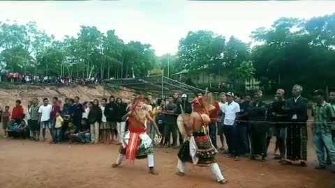 Manggarai Culture the name is caci