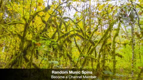 Random Music Spins #31