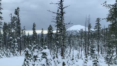 Scenic Mountain Snowscape – Central Oregon – Vista Butte Sno-Park – 4K