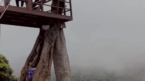 Viewing a facinating swing on Banos in Ecuador