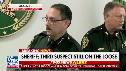 There's A New, Based Sheriff In Town... Smug Journo Gets REKT