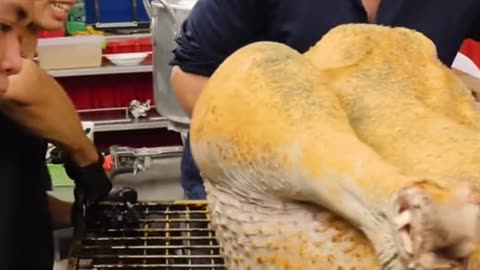 Cooking the world's largest bird an ostrich