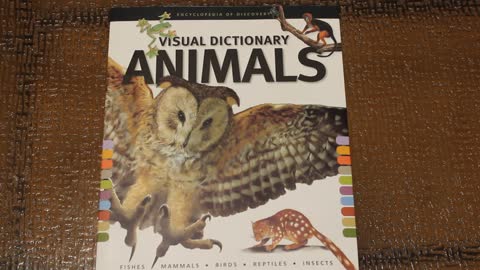 Visual Dictionary Animals by Weldon Owen Review, encyclopedia review