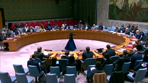 Ukraine furious over Russian UN Security Council presidency