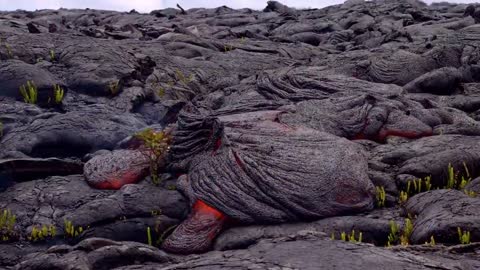 Volcanic eruption lava