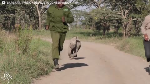 Remembering Ringo, The World's Cutest Little Rhino