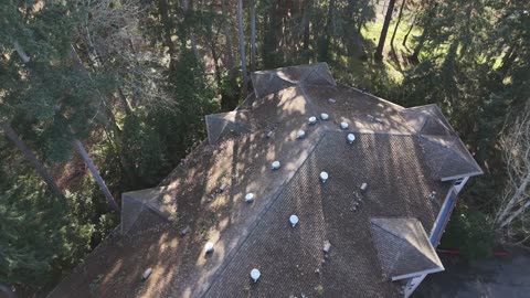 DJI Mini 4 pro Flyover of Silver Glen Roofs