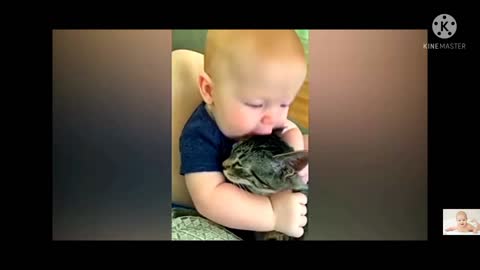 Funny Cats and babies playing together