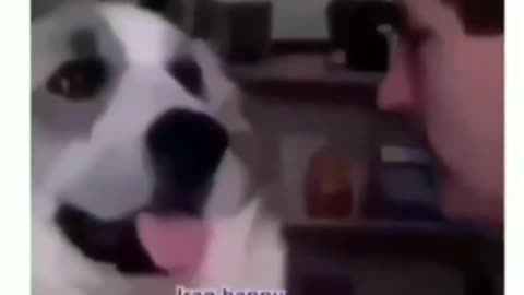 Dog slaps owner