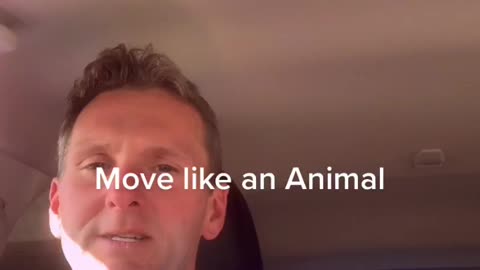 Animal Movement